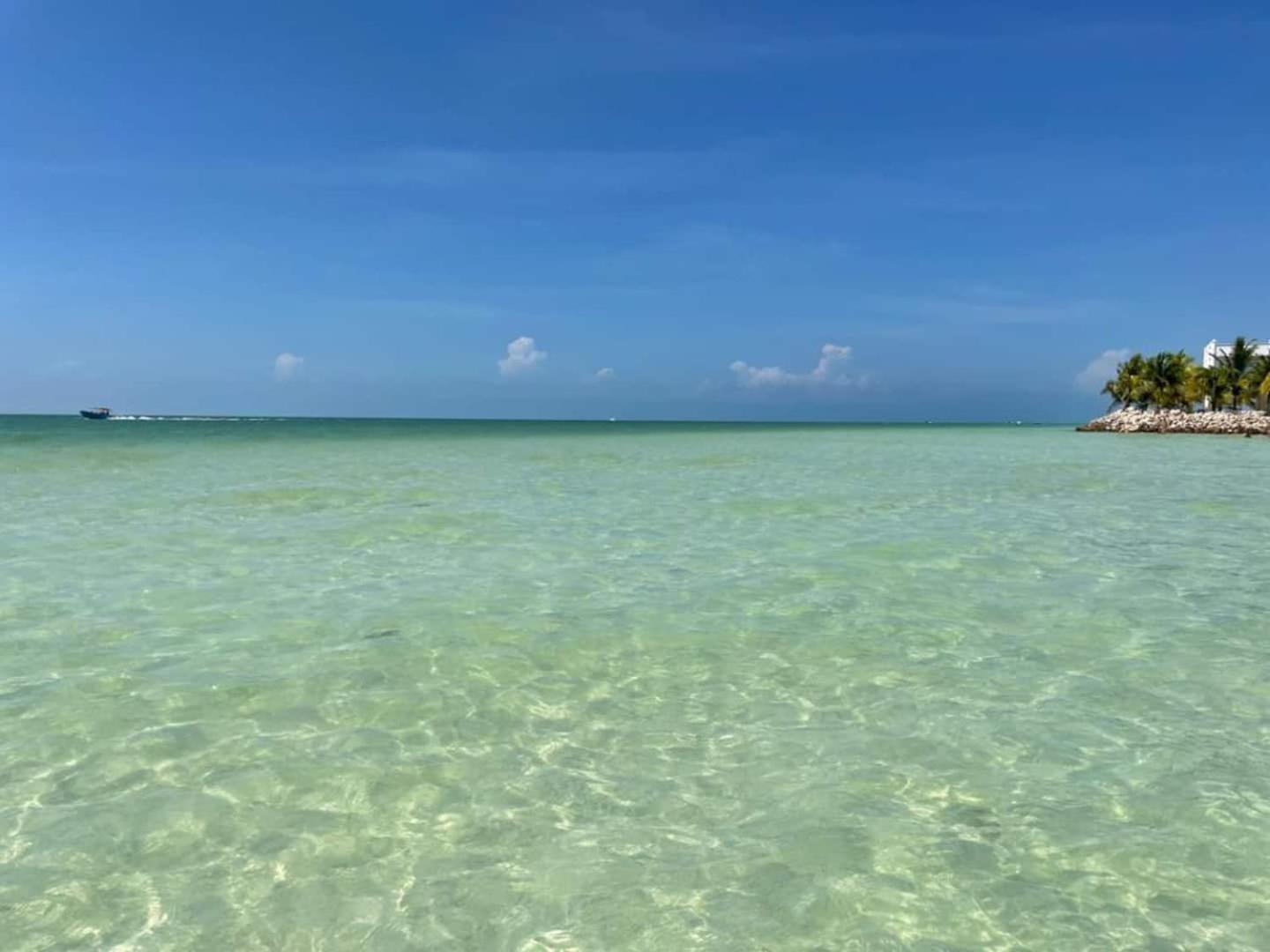 Pool View Loft Steps From The Ocean In Punta Cocos - C101 Hotel Isla Holbox ภายนอก รูปภาพ