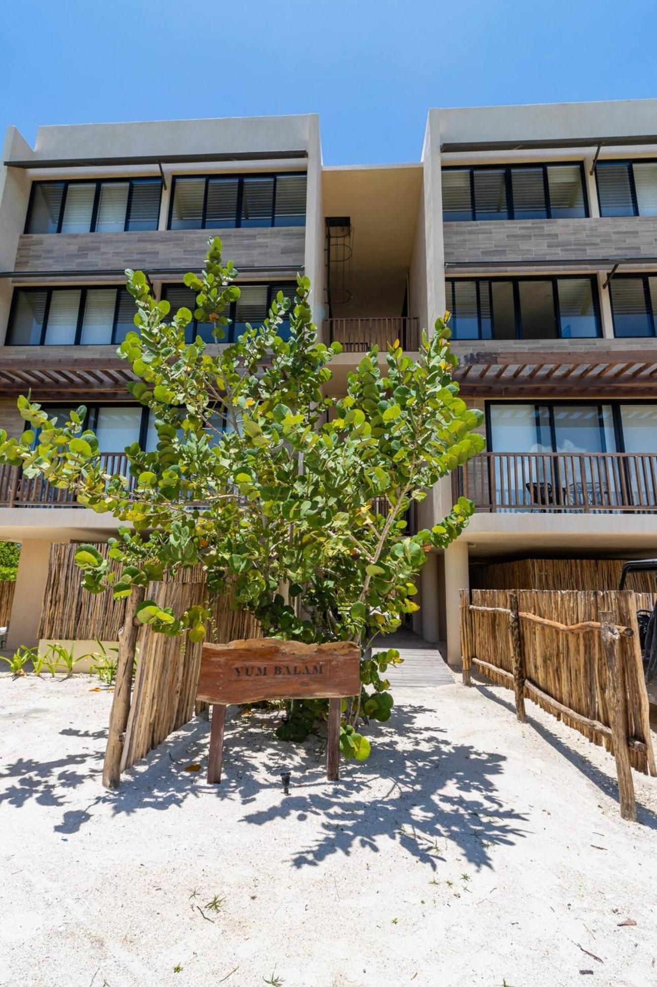 Pool View Loft Steps From The Ocean In Punta Cocos - C101 Hotel Isla Holbox ภายนอก รูปภาพ